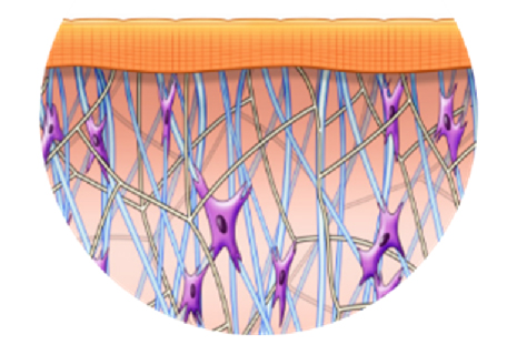 ULTRASOUND + RF Radiofrequency machine for facelift and body contouring treatment leads to deep tissue and skin improvement